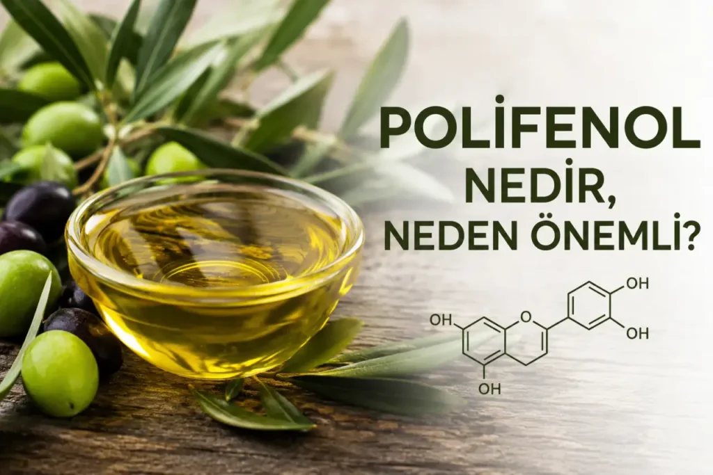 Zeytinyağında polifenol nedir, neden önemli